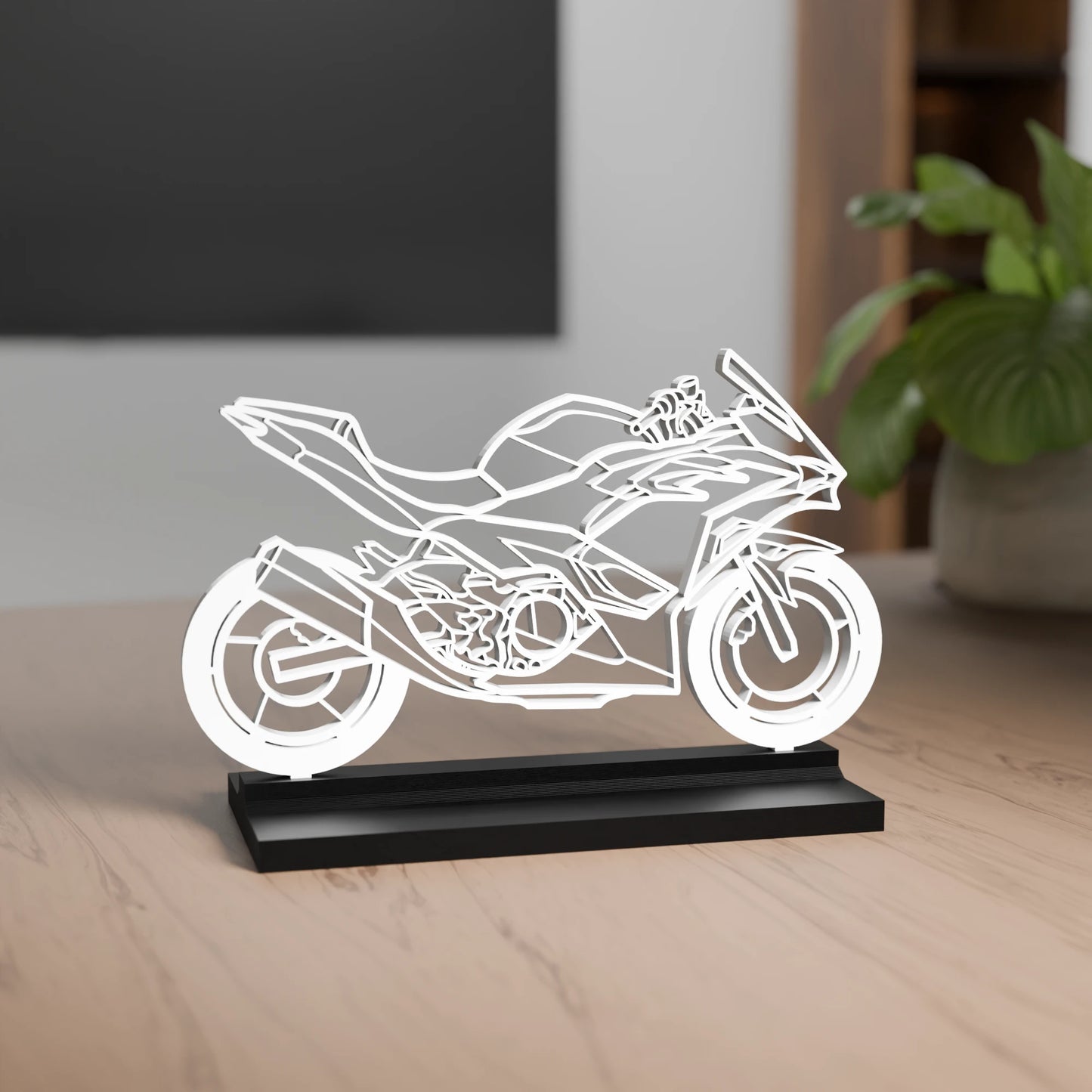 Kawasaki Ninja 500 SE