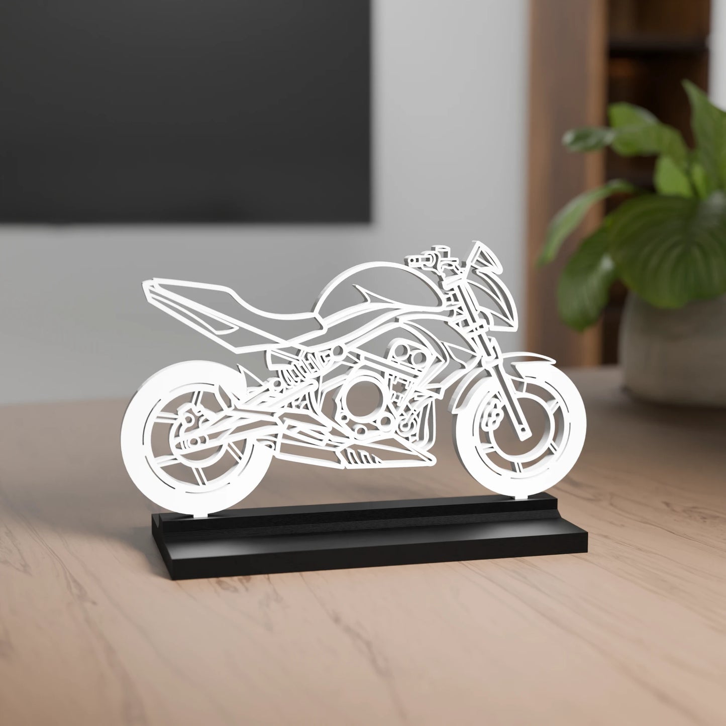 Kawasaki ER-6N