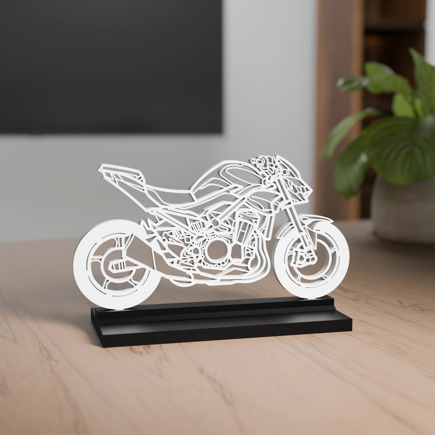 Kawasaki Z900 - 2025